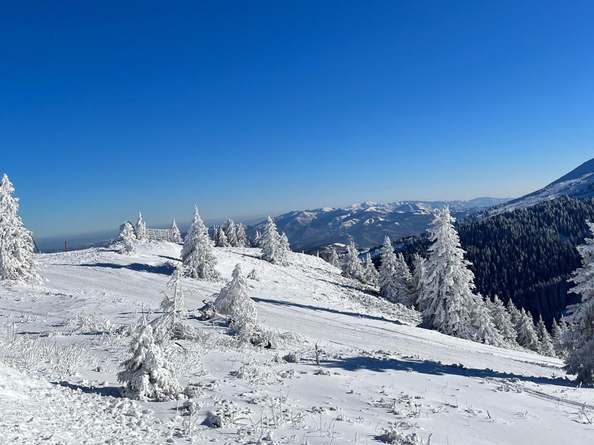 Hotel Junior Kopaonik Buitenkant foto